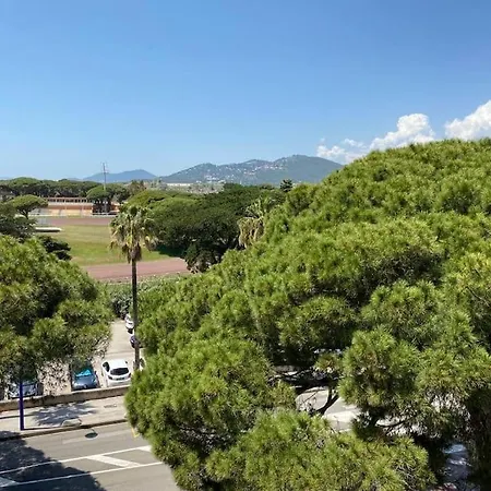 Appartement Port De 4p Climatisation Terrasse Hyères